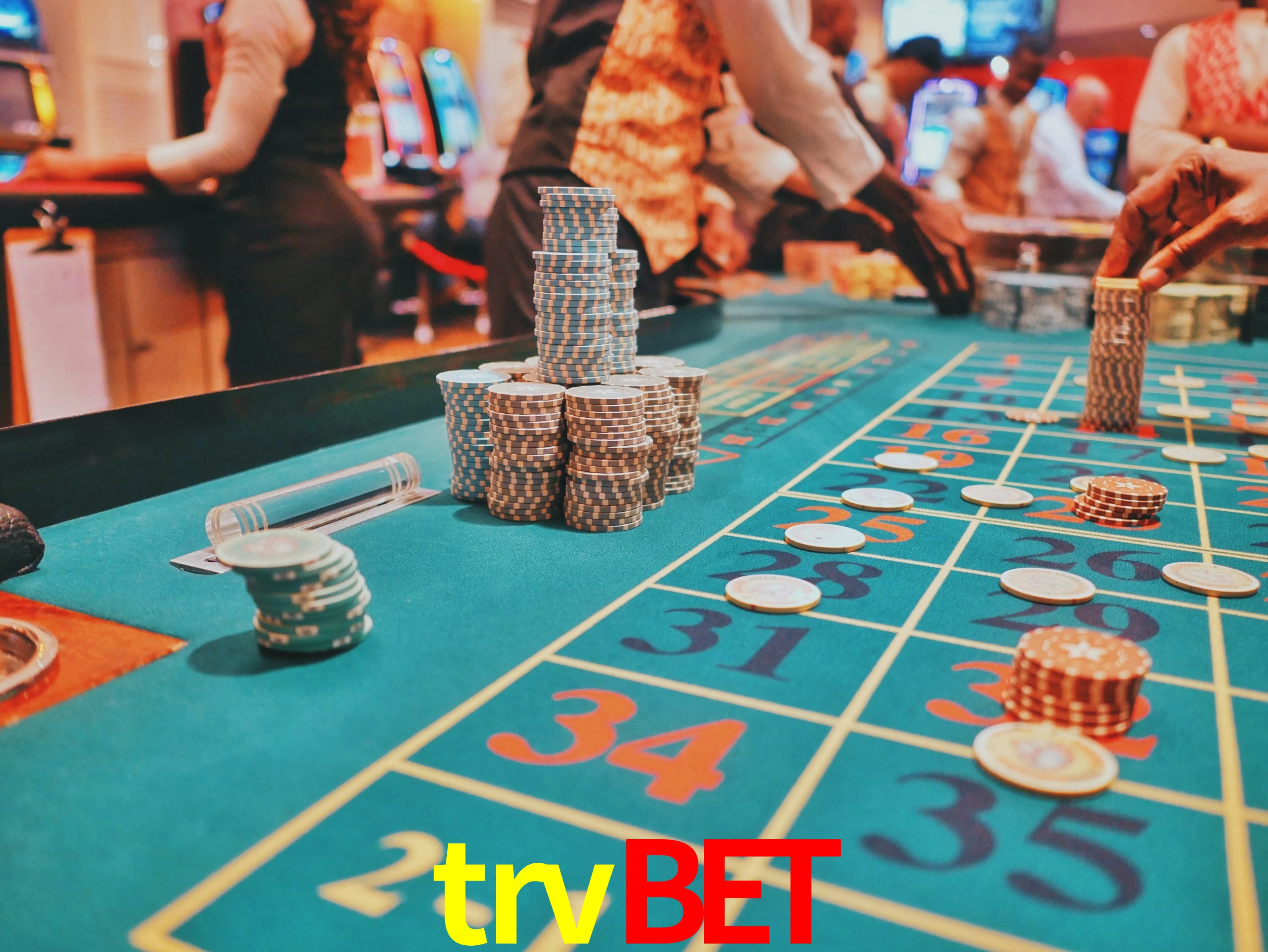 Sports Statistics trvbet